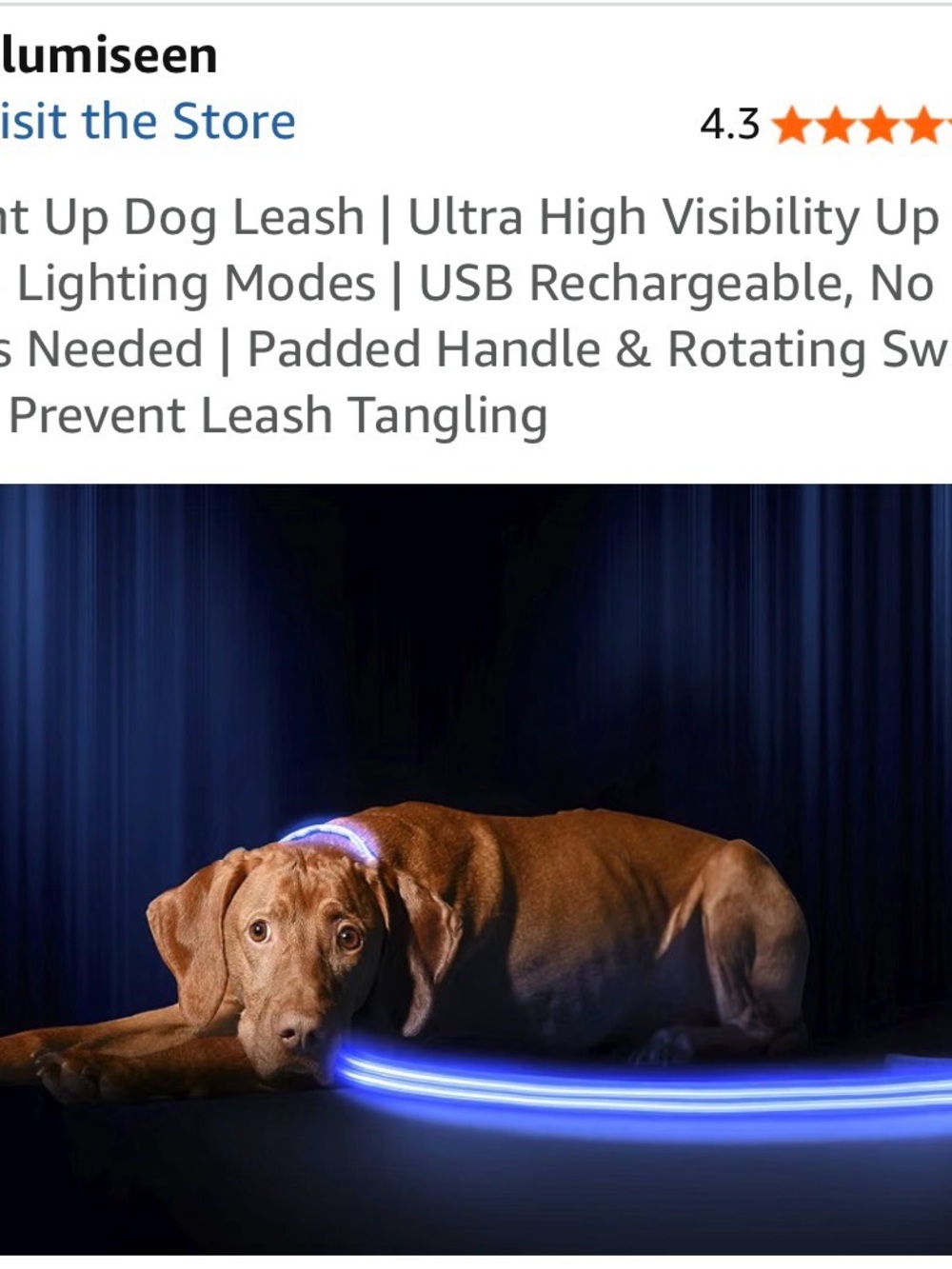 Rechargeable LED Dog Leash - Blue High-Visibility